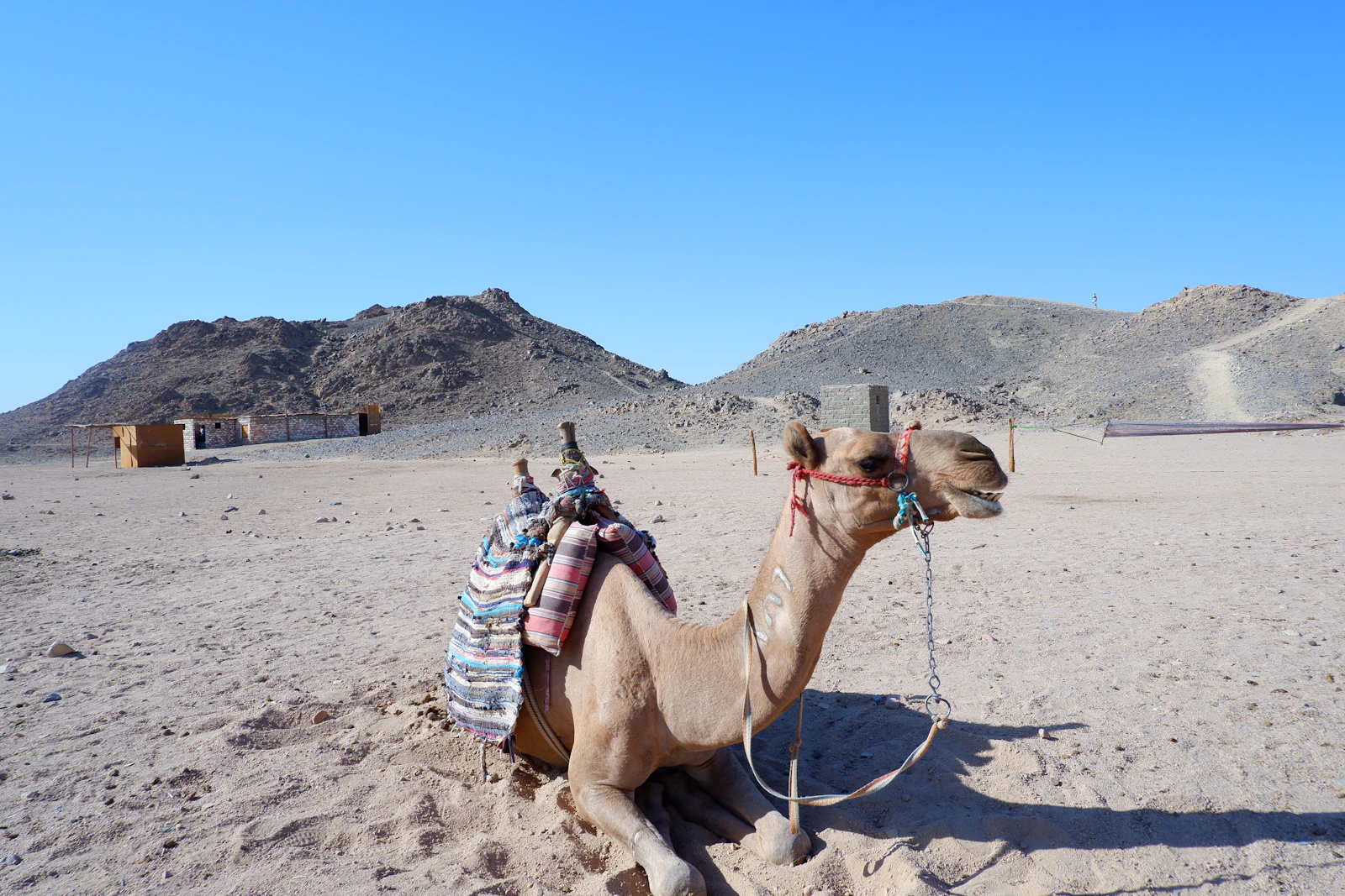 Hurghada, Egypt photo 10 by Denisa Urluescu