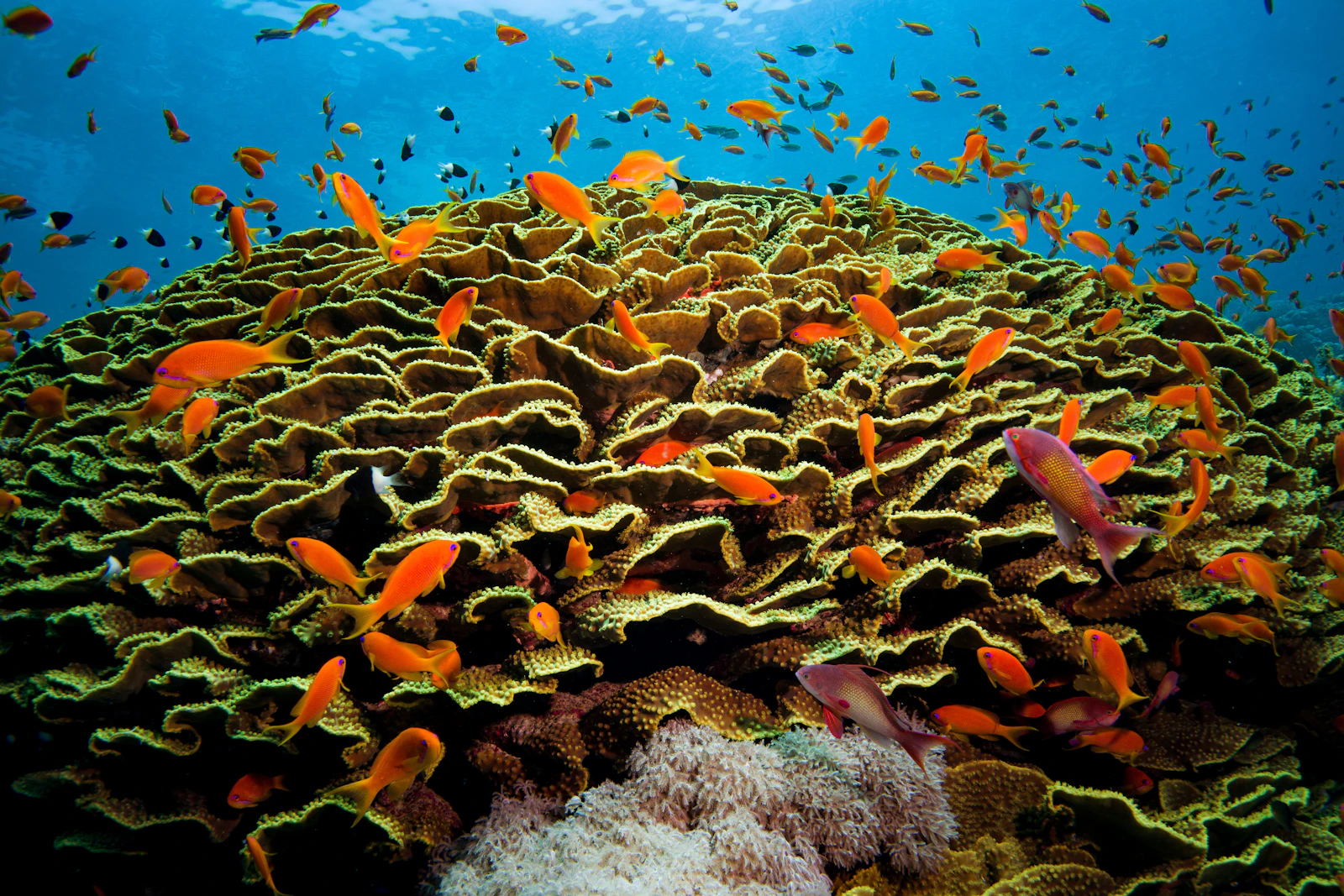 Hurghada, Egypt photo 3 by geoff trodd