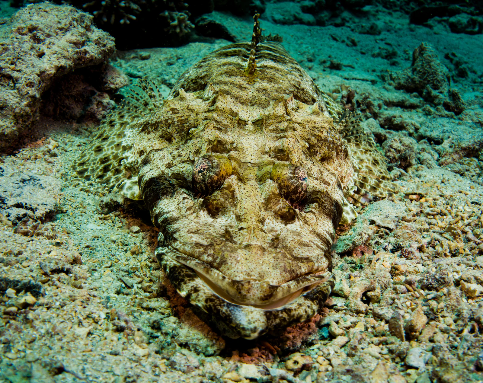 Hurghada, Egypt photo 30 by geoff trodd
