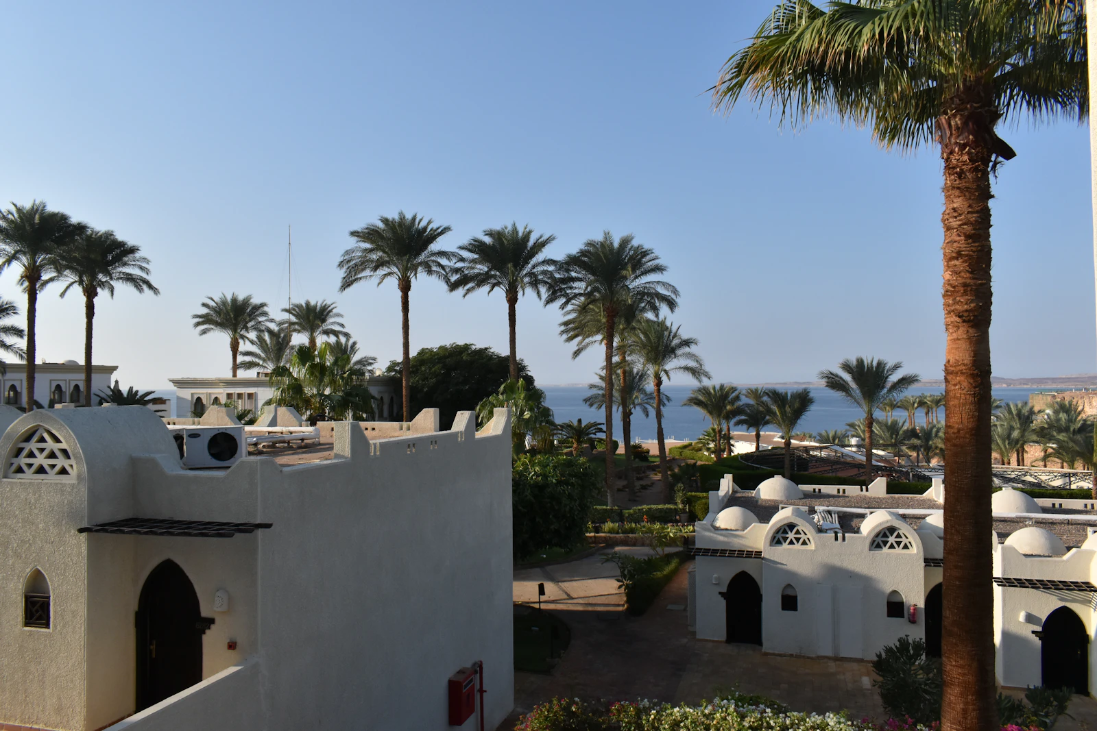 Sharm El Sheikh, Egypt photo 14 by Anastasiia Popova