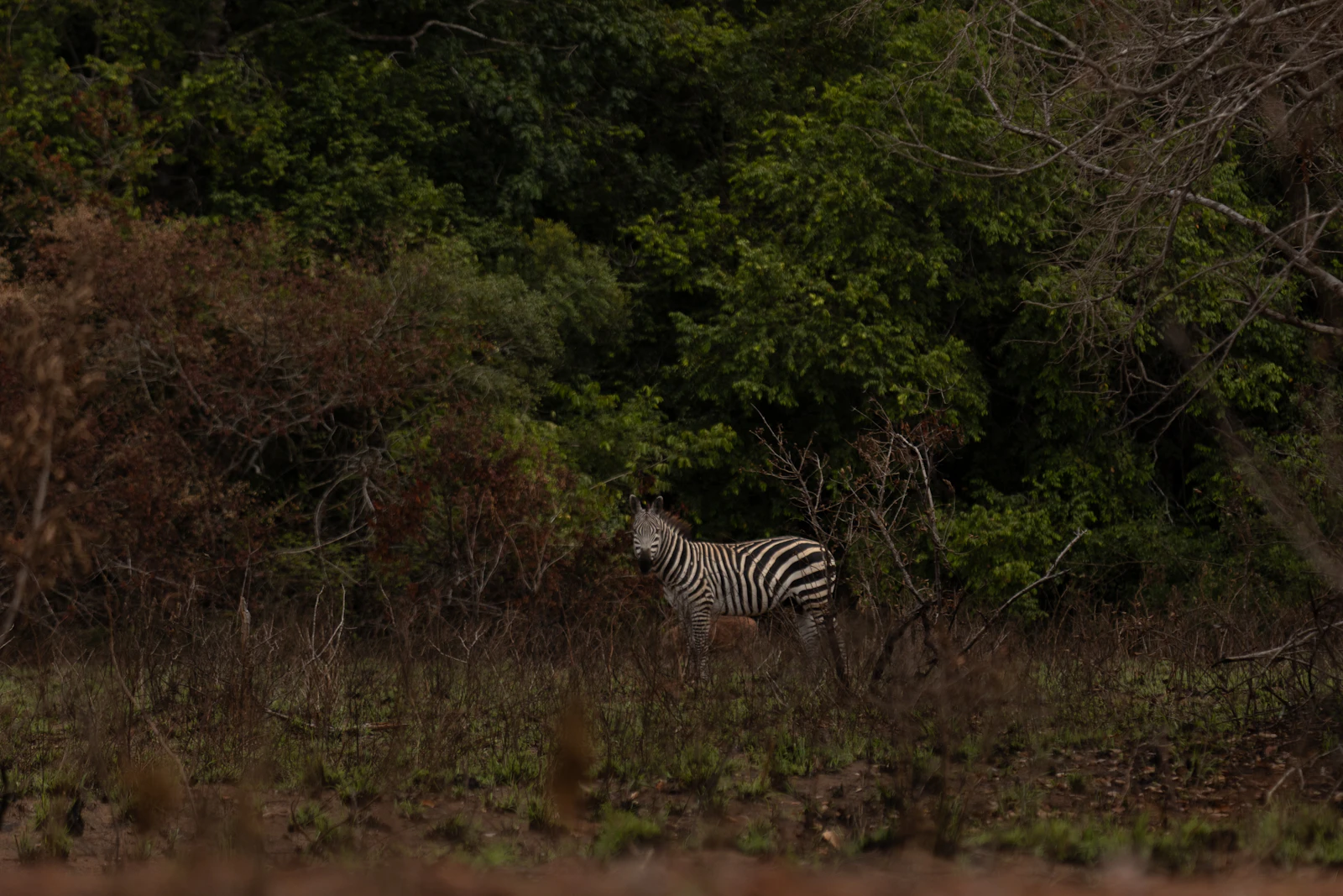 Mombasa, Kenya photo 27 by Abdelrahman Sarayreh
