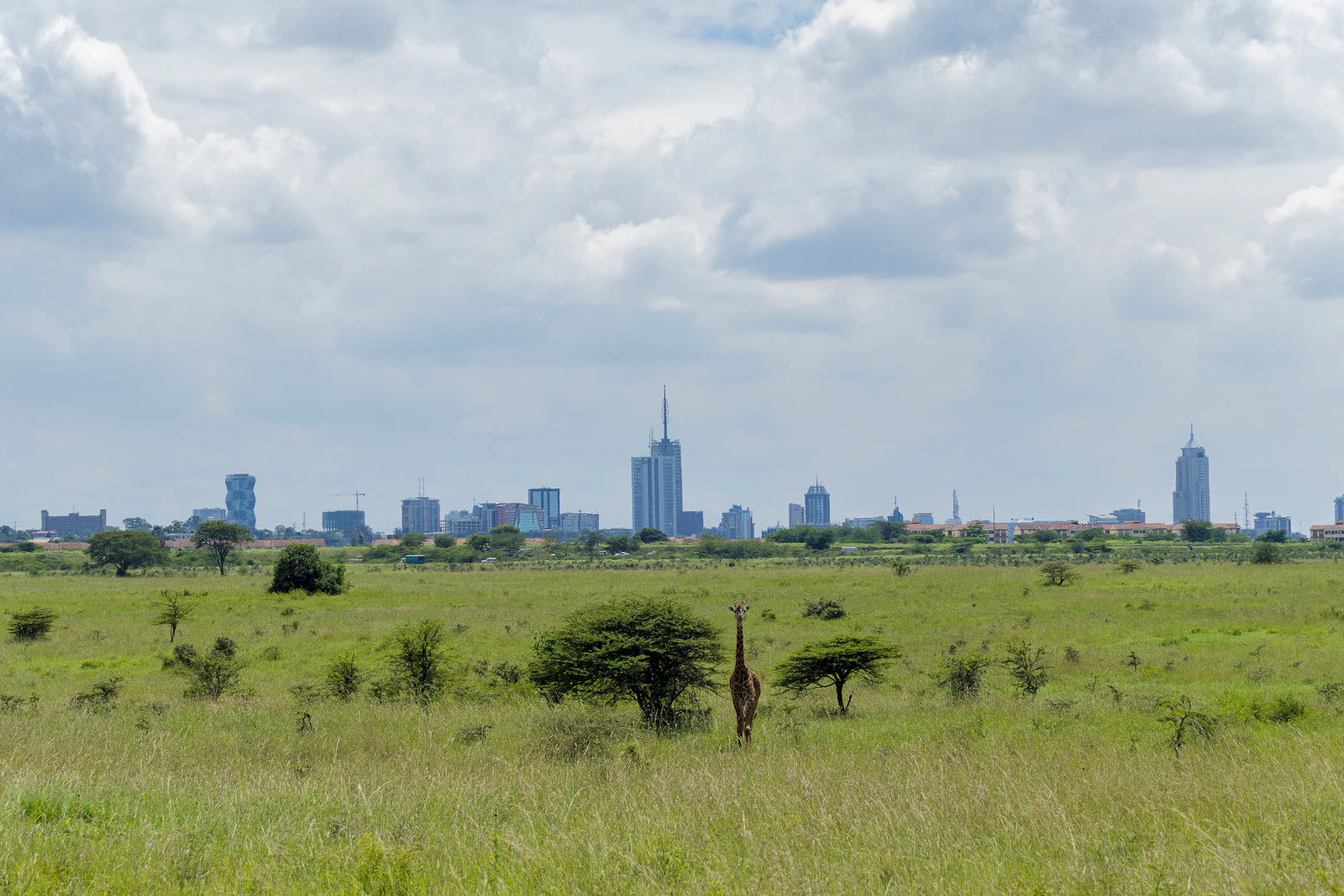 Nairobi, Kenya photo 8 by Murad Swaleh