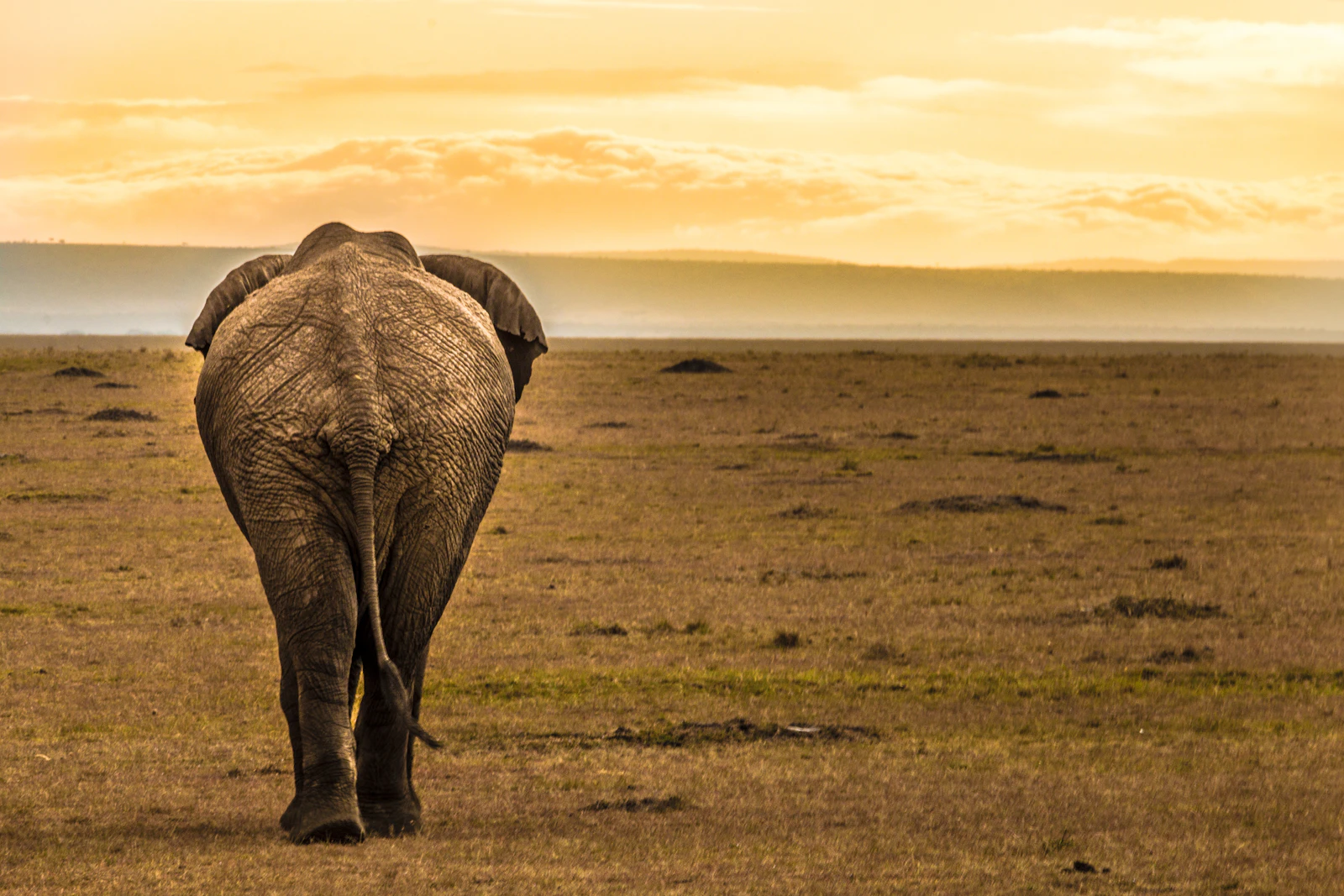 Nairobi, Kenya photo 30 by Cody McLain