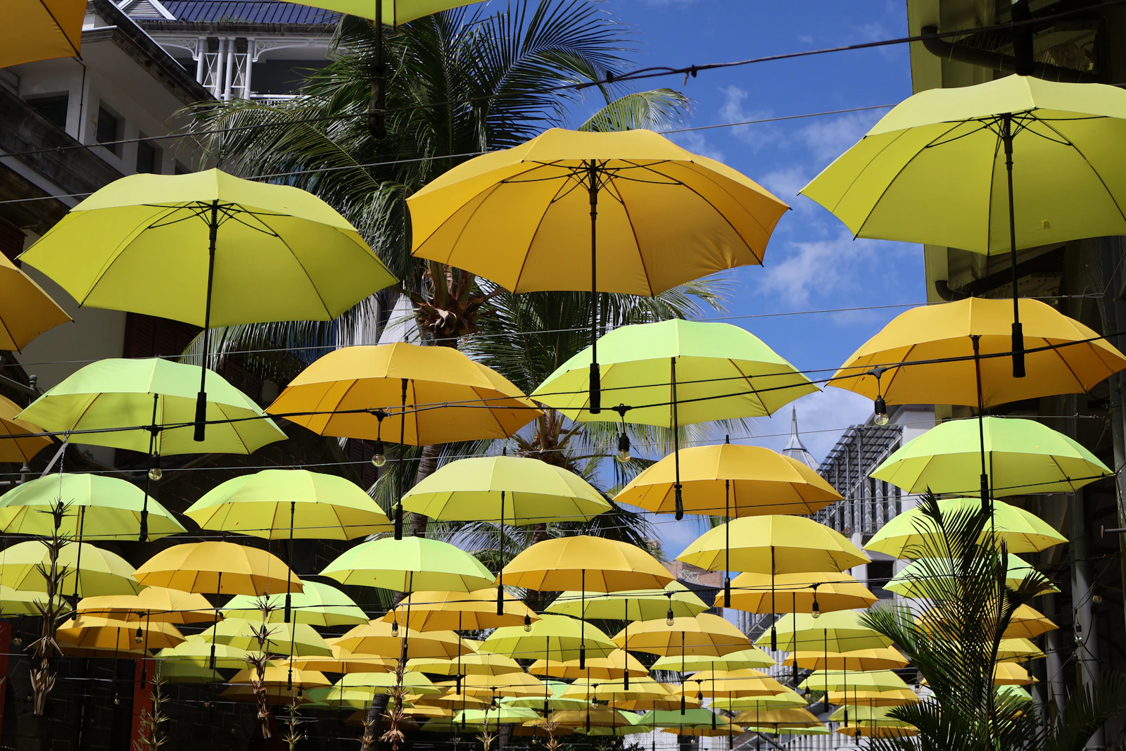 Port Louis, Mauritius photo 17 by Rohan Chhipa