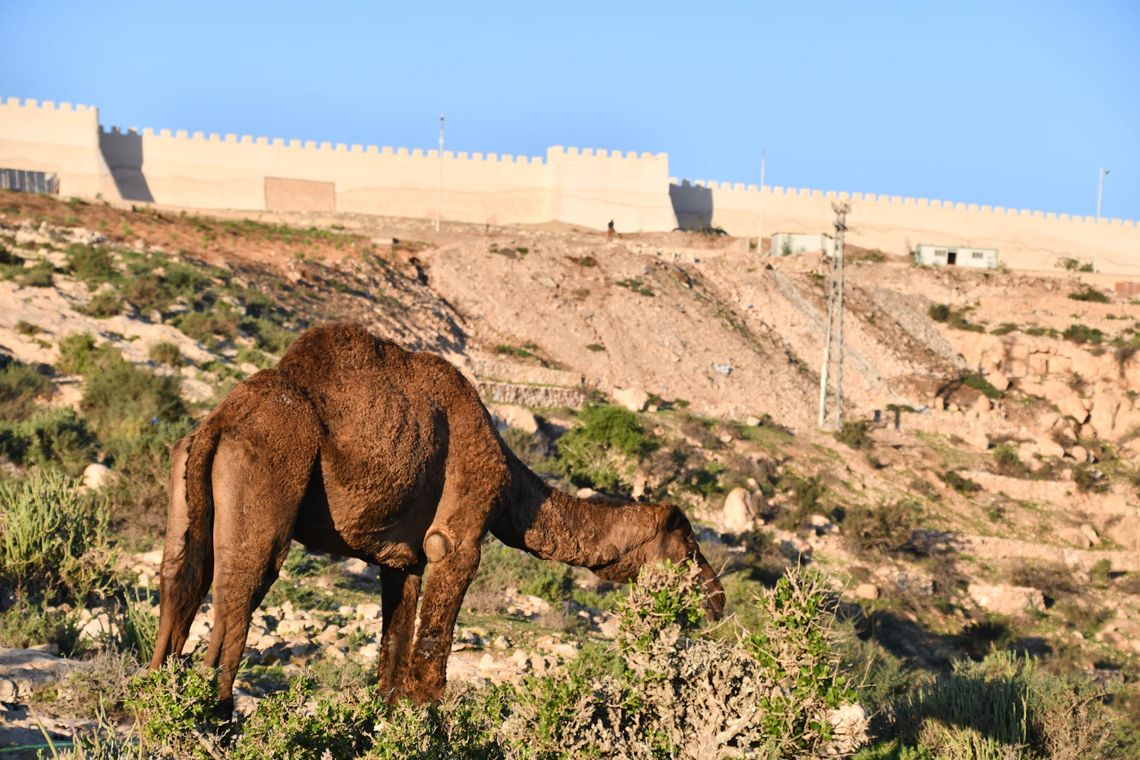Agadir, Morocco photo 13 by SnapSaga