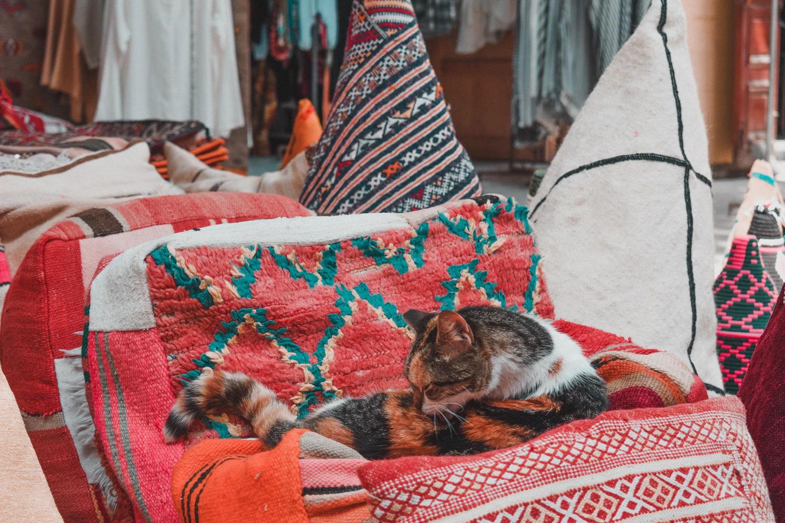 Essaouira, Morocco photo 27 by mohamed visuals