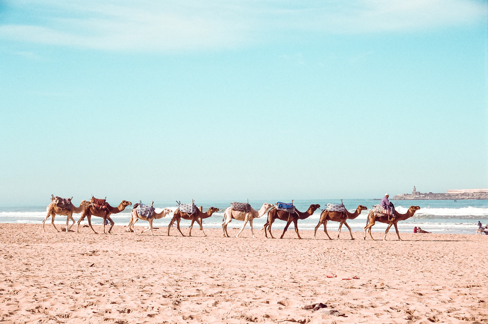 Essaouira, Morocco photo 8 by Brent Olson