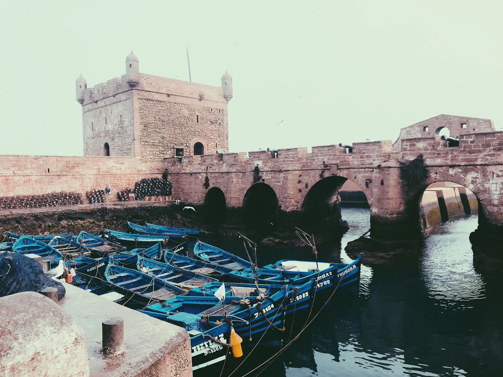 Essaouira, Morocco photo 25 by med bnb