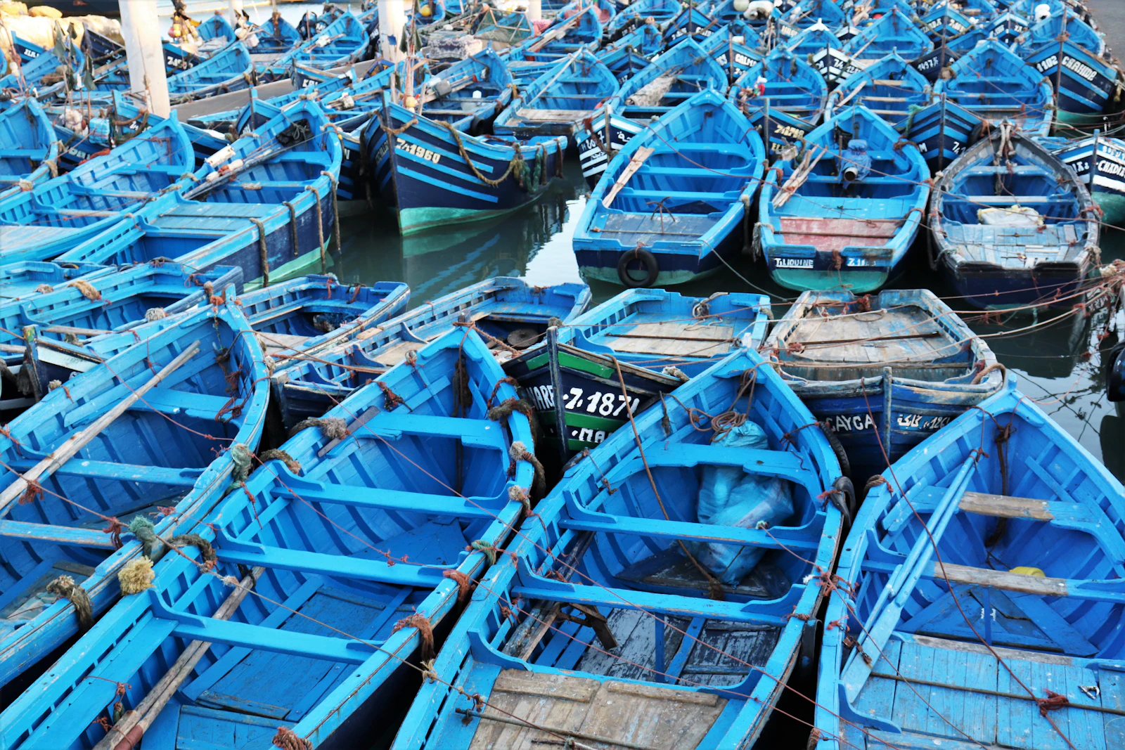 Essaouira, Morocco photo 30 by Marius Zetzmann