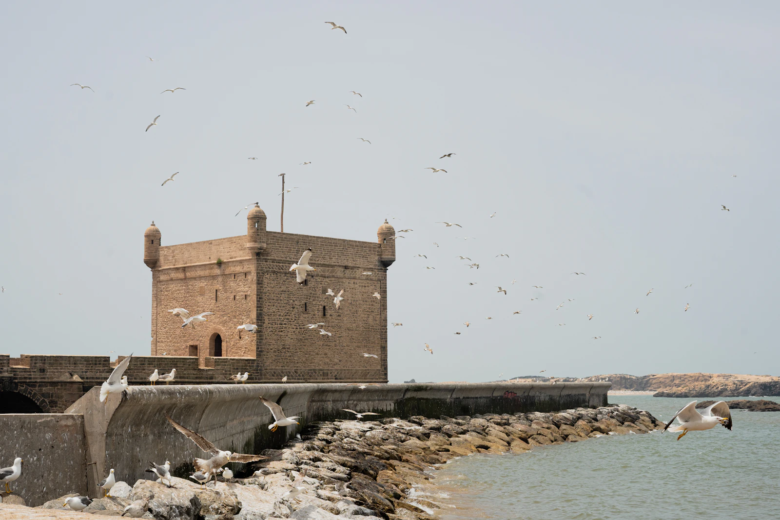 Essaouira, Morocco photo 26 by Urtak Hoti