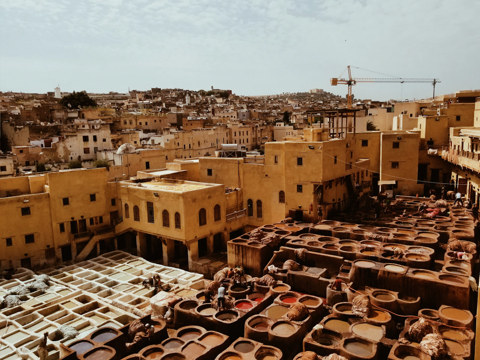 Fez, Morocco photo 9 by Aleks