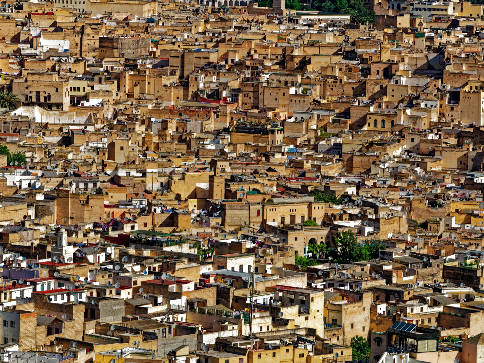 Fez, Morocco photo 18 by fotografu