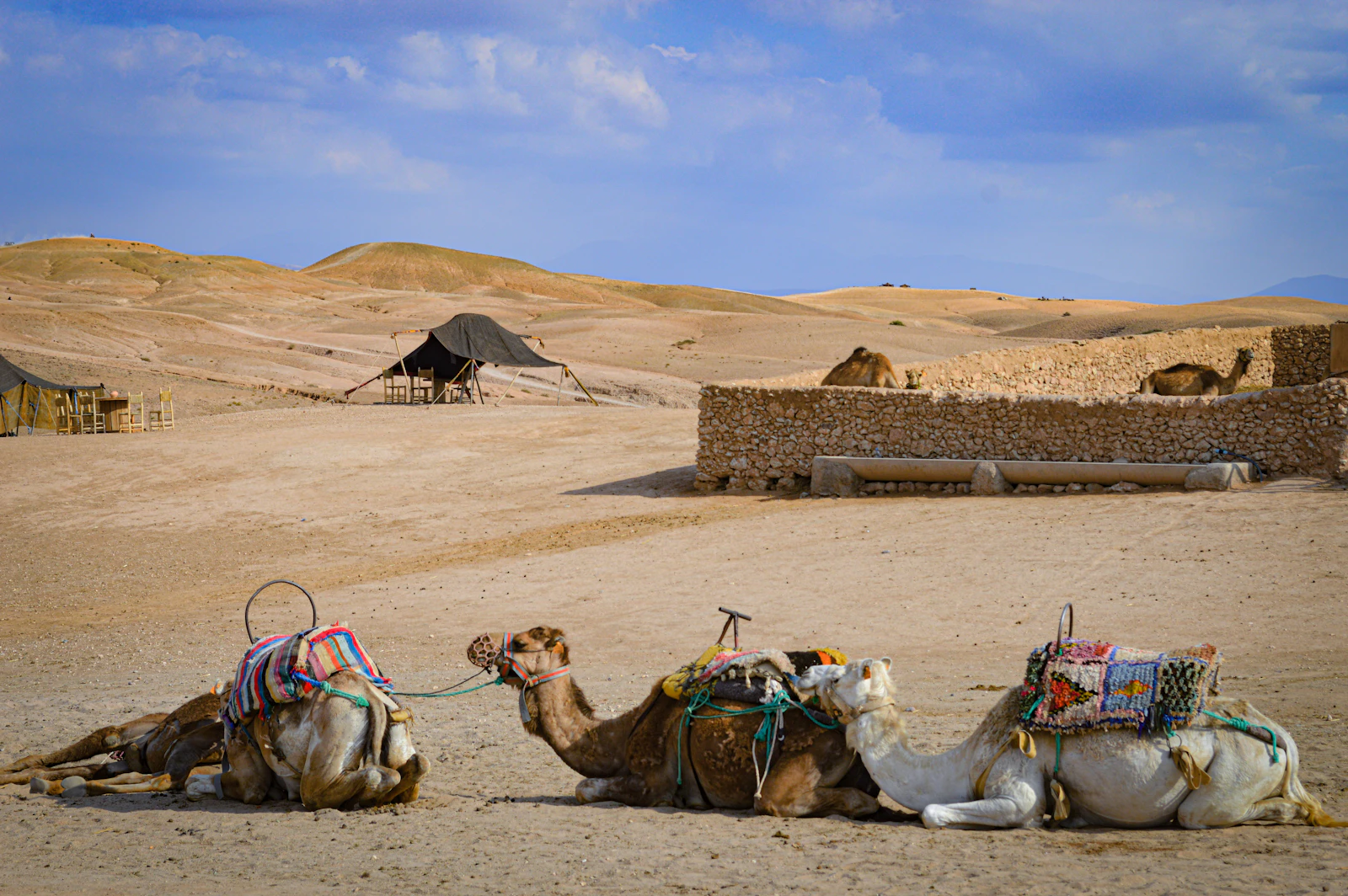 Marrakech, Morocco photo 30 by Ifeoluwa B.