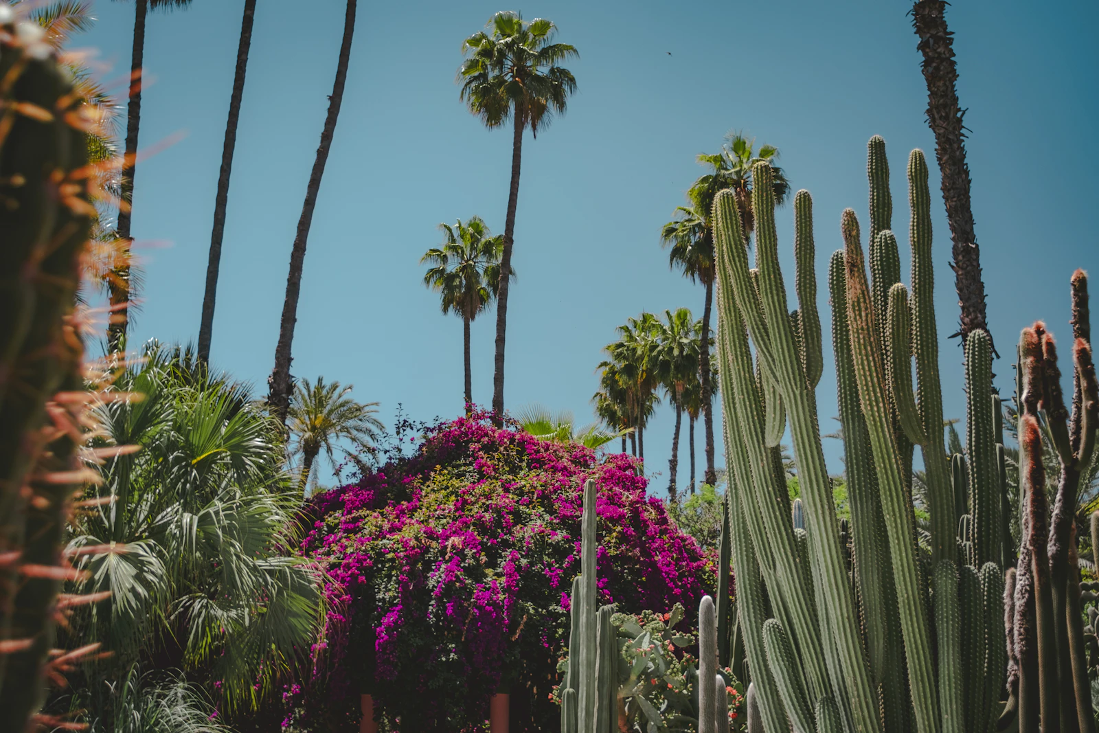 Marrakech, Morocco photo 18 by Alex Plesovskich
