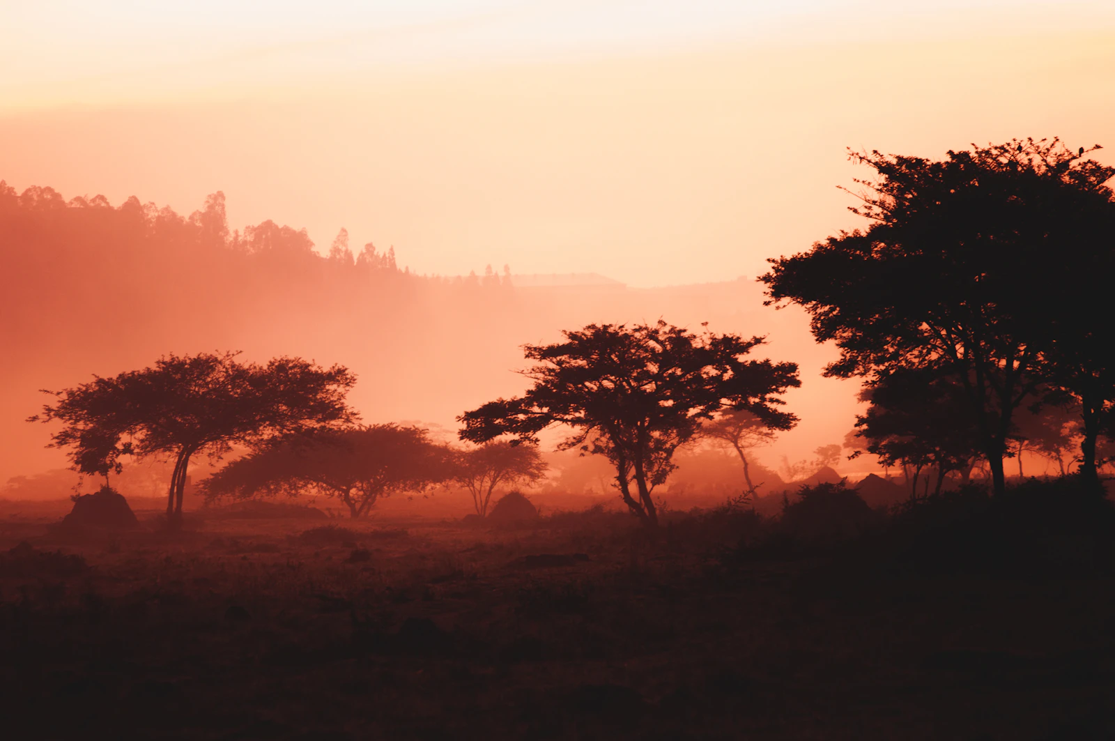 Kigali, Rwanda photo 9 by maxime niyomwungeri