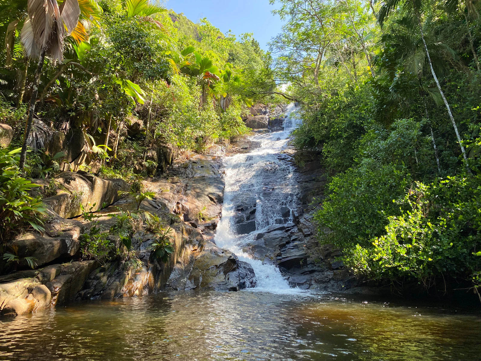 Victoria, Seychelles photo 11 by Datingscout