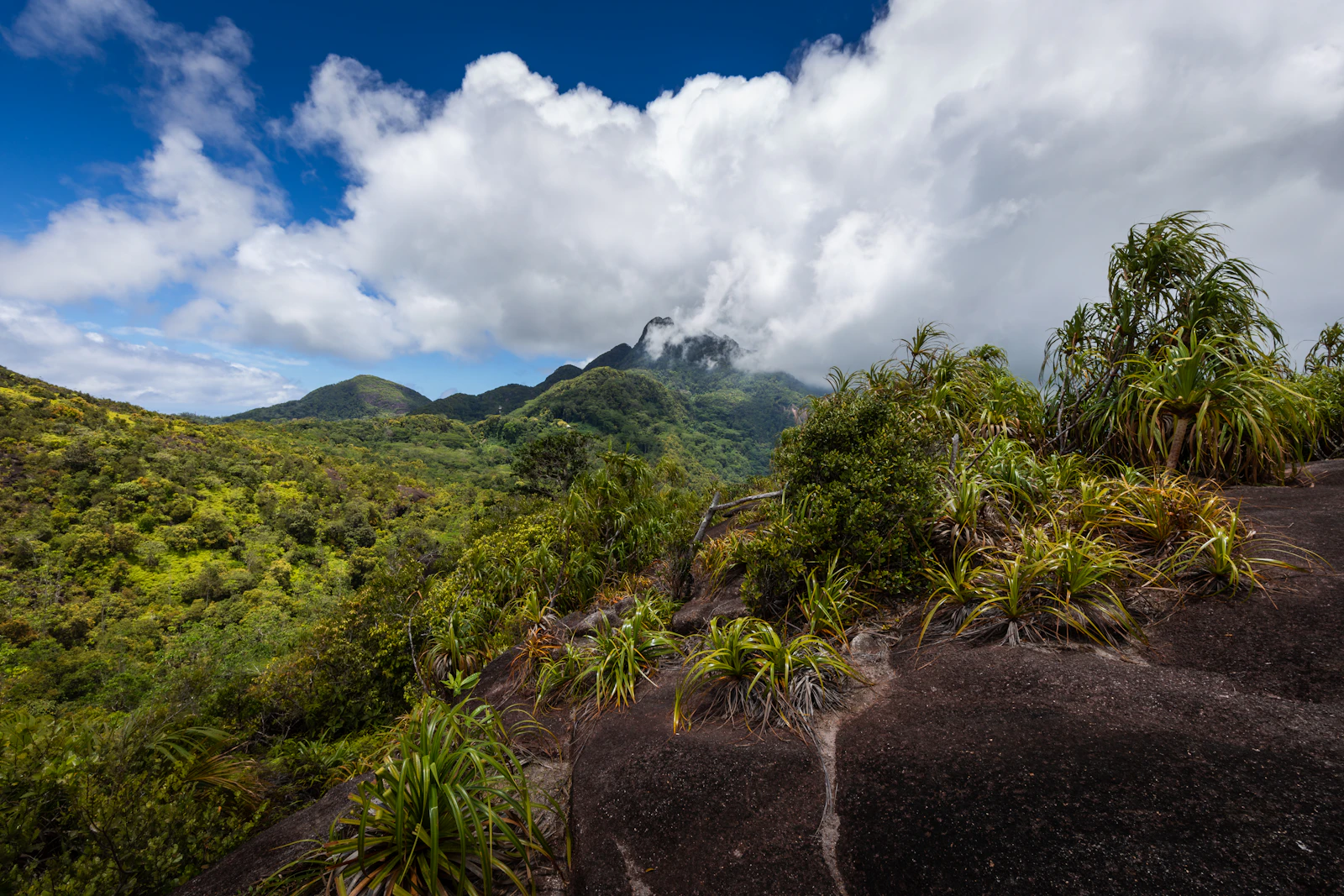 Victoria, Seychelles photo 8 by Luca Cavallin