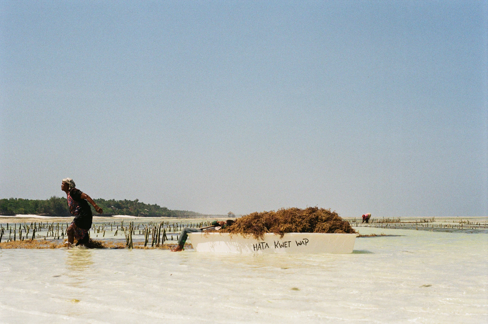 Zanzibar City, Tanzania photo 17 by Sasha Matveeva