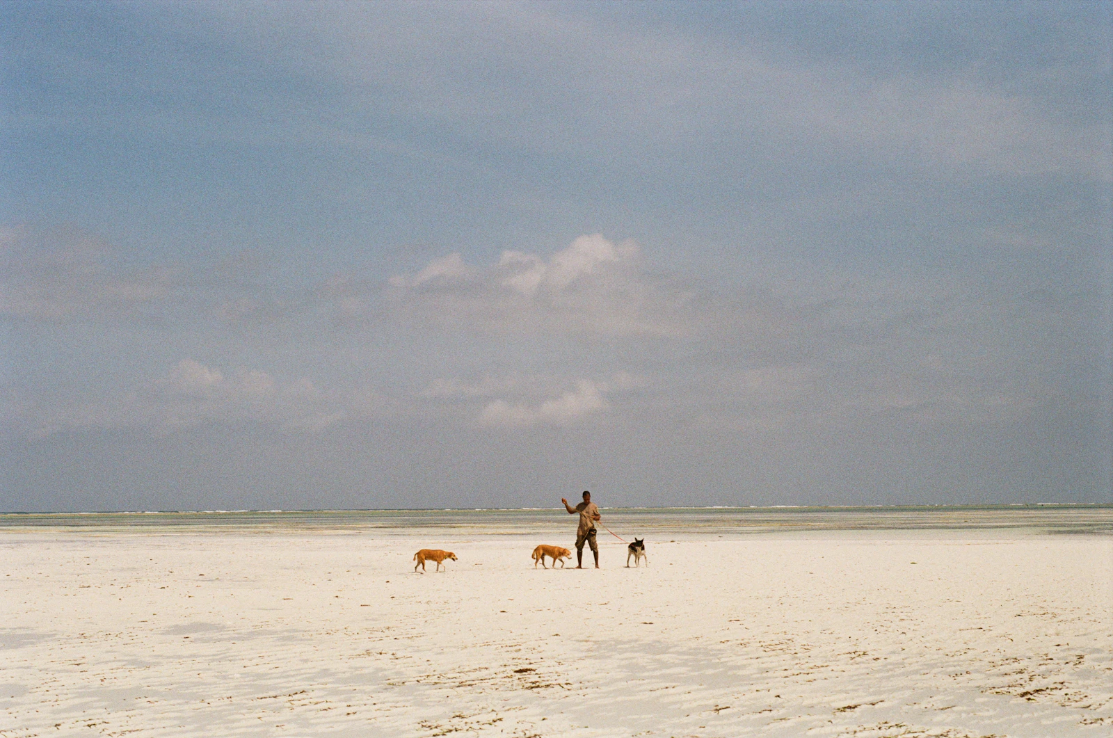 Zanzibar City, Tanzania photo 7 by Sasha Matveeva