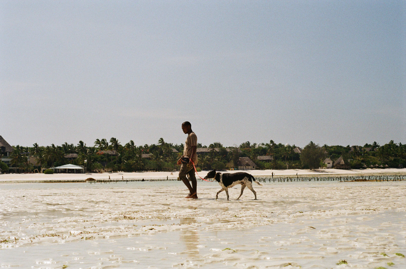 Zanzibar City, Tanzania photo 5 by Sasha Matveeva