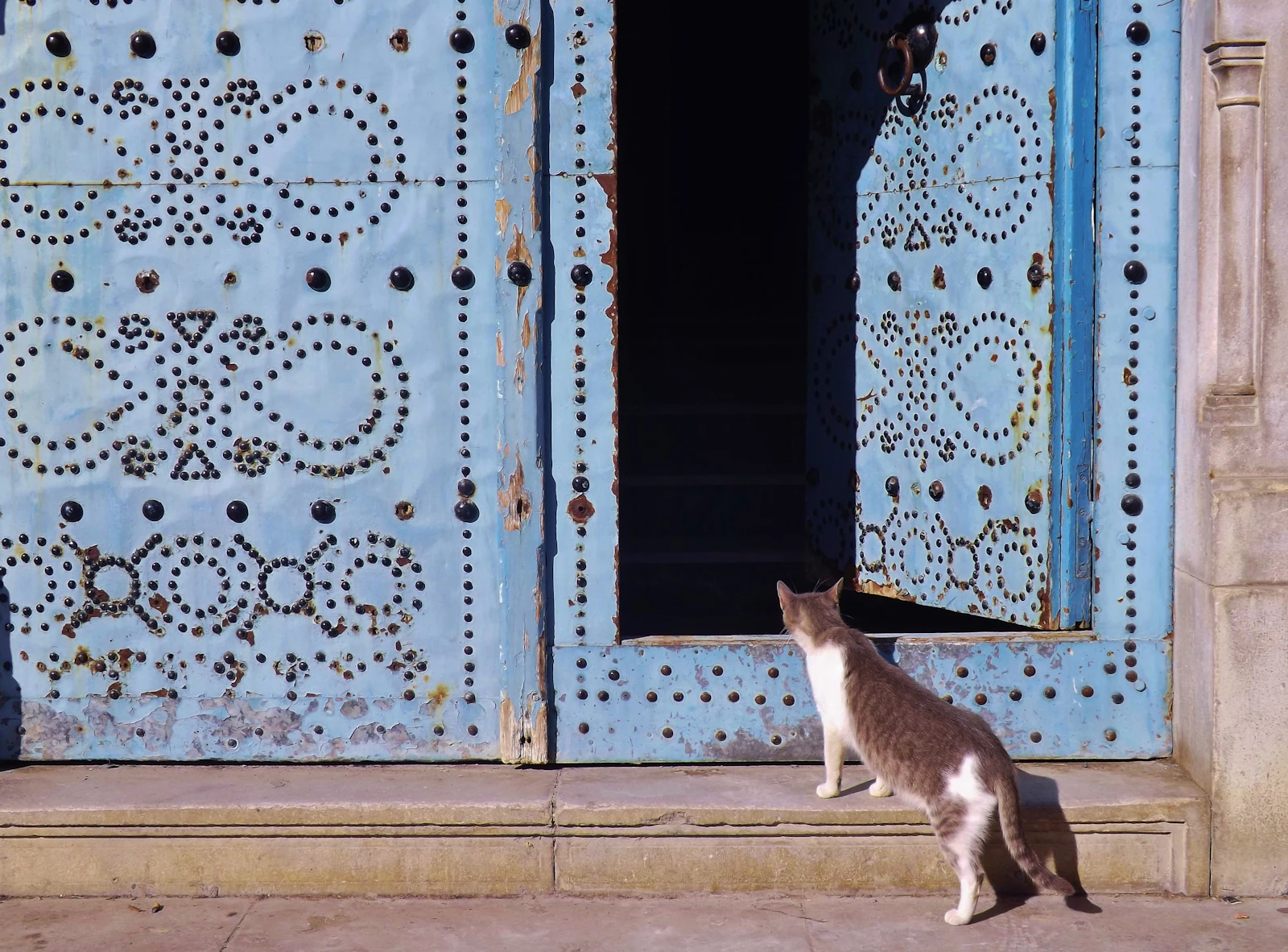 Tunis, Tunisia photo 22 by Uta Scholl