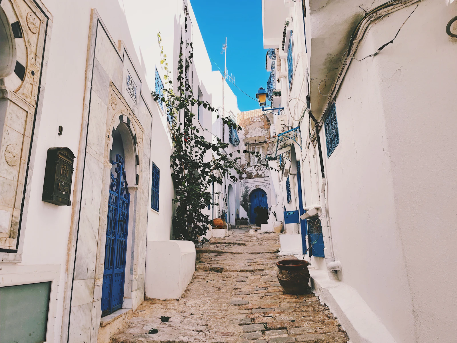 Tunis, Tunisia photo 8 by Alex Vasey