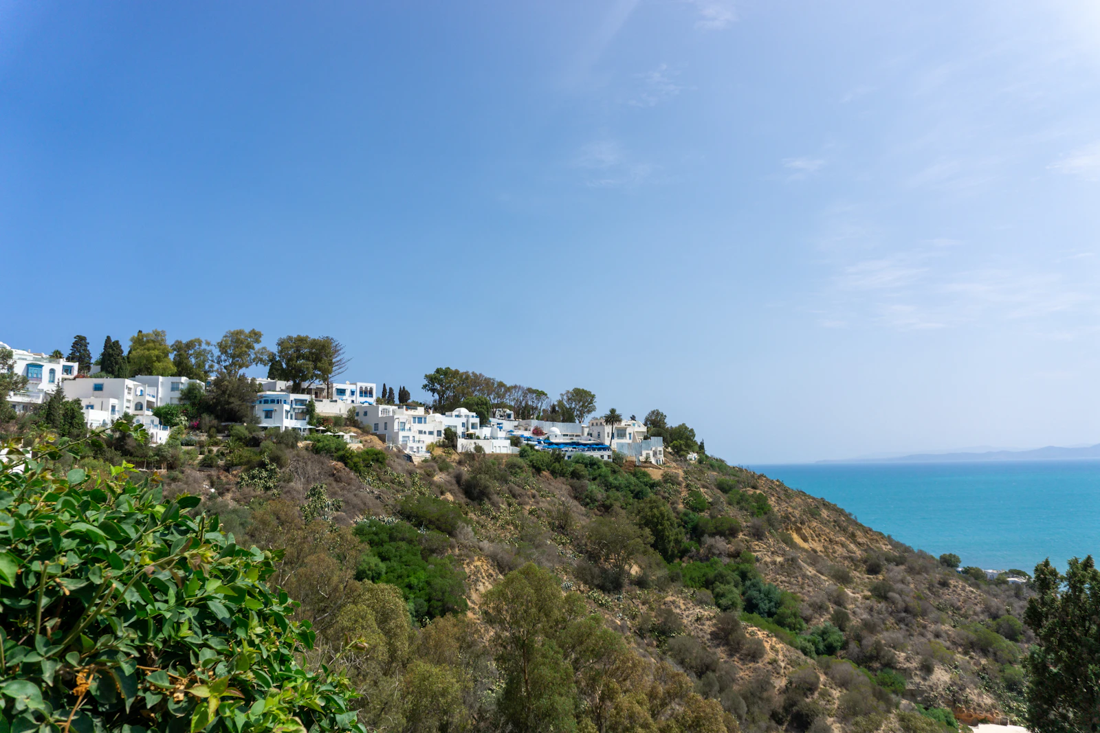 Tunis, Tunisia photo 24 by Brahim Guedich