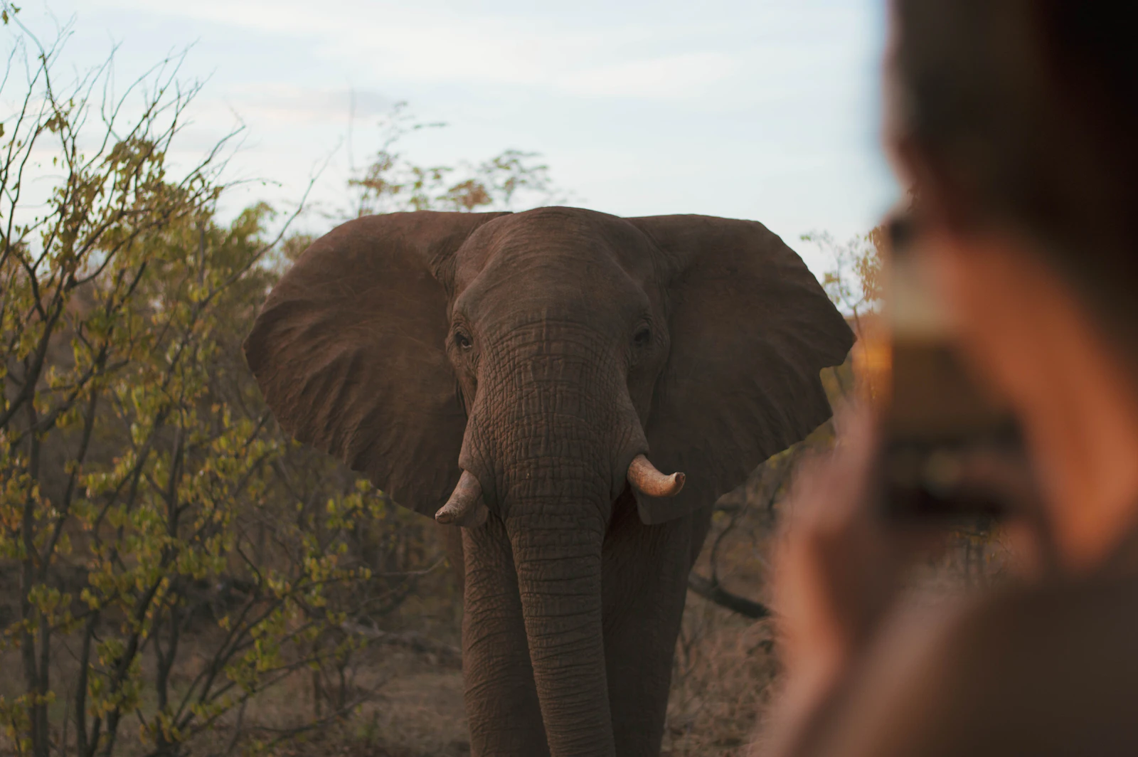 Victoria Falls, Zimbabwe photo 14 by Eden Constantino