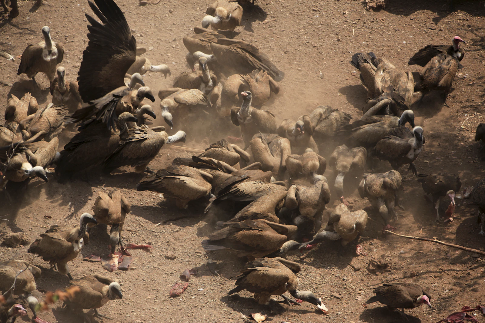 Victoria Falls, Zimbabwe photo 30 by Colin Hobson