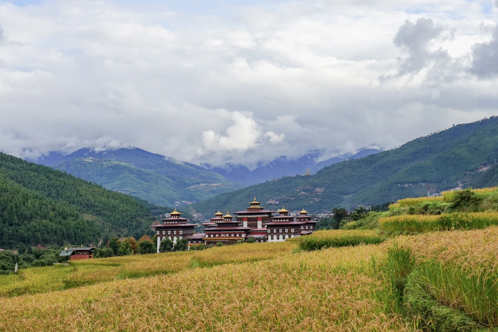 Thimphu, Bhutan travel photo