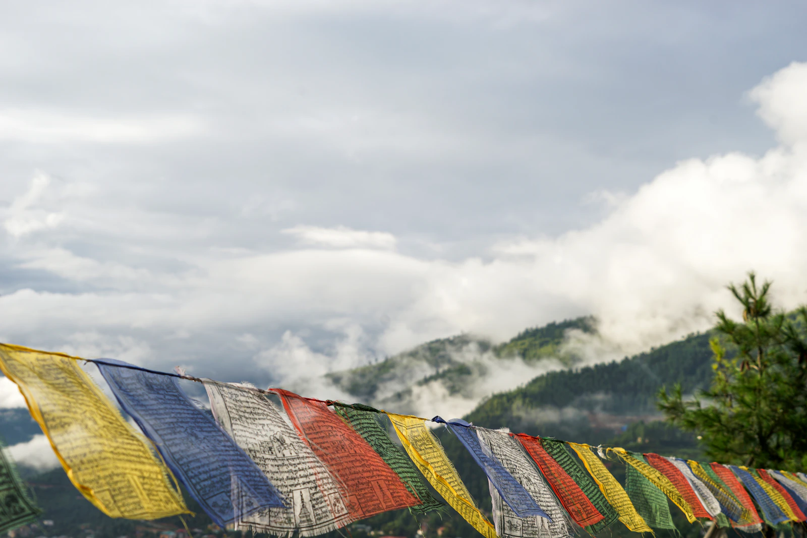 Thimphu, Bhutan photo 15 by Pema Gyamtsho