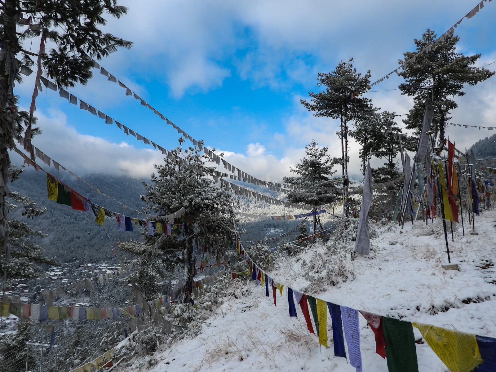 Thimphu, Bhutan photo 18 by Pema Gyamtsho
