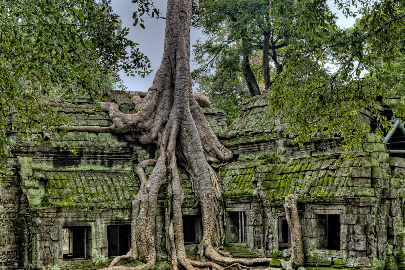 Siem Reap, Cambodia photo 3 by James Wheeler