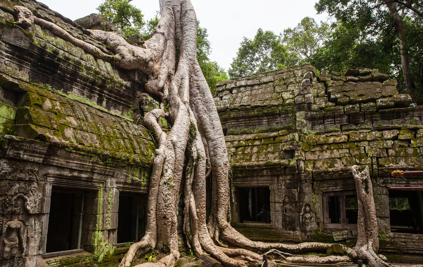 Siem Reap, Cambodia photo 2 by Daniel Lienert