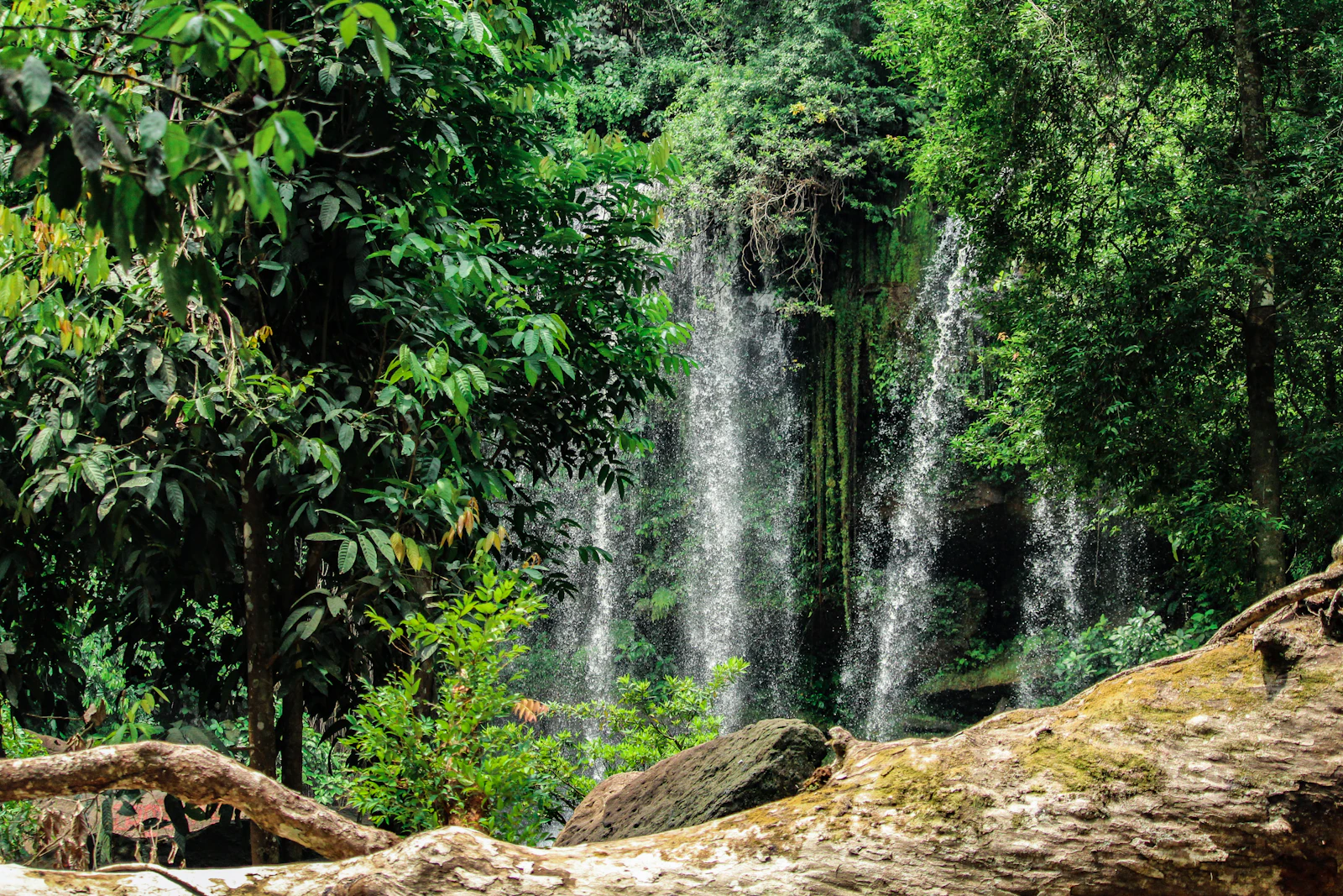 Siem Reap, Cambodia photo 29 by Phen Phy