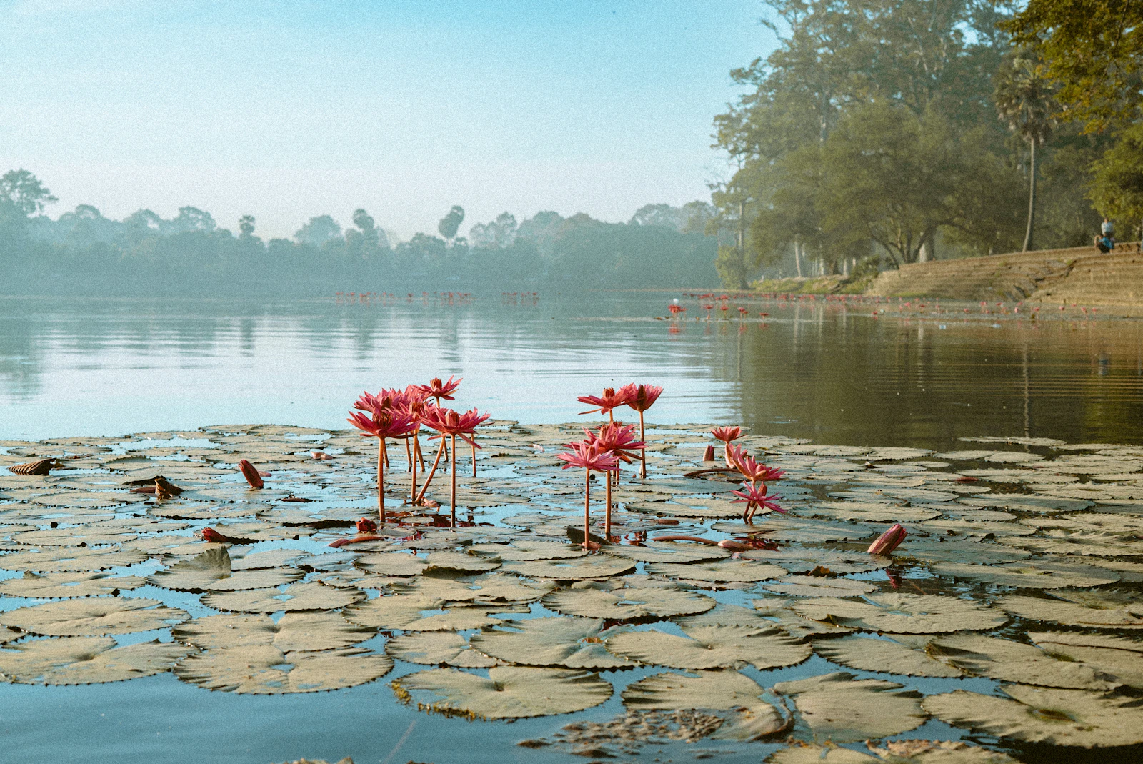 Siem Reap, Cambodia photo 6 by Daniel Bernard