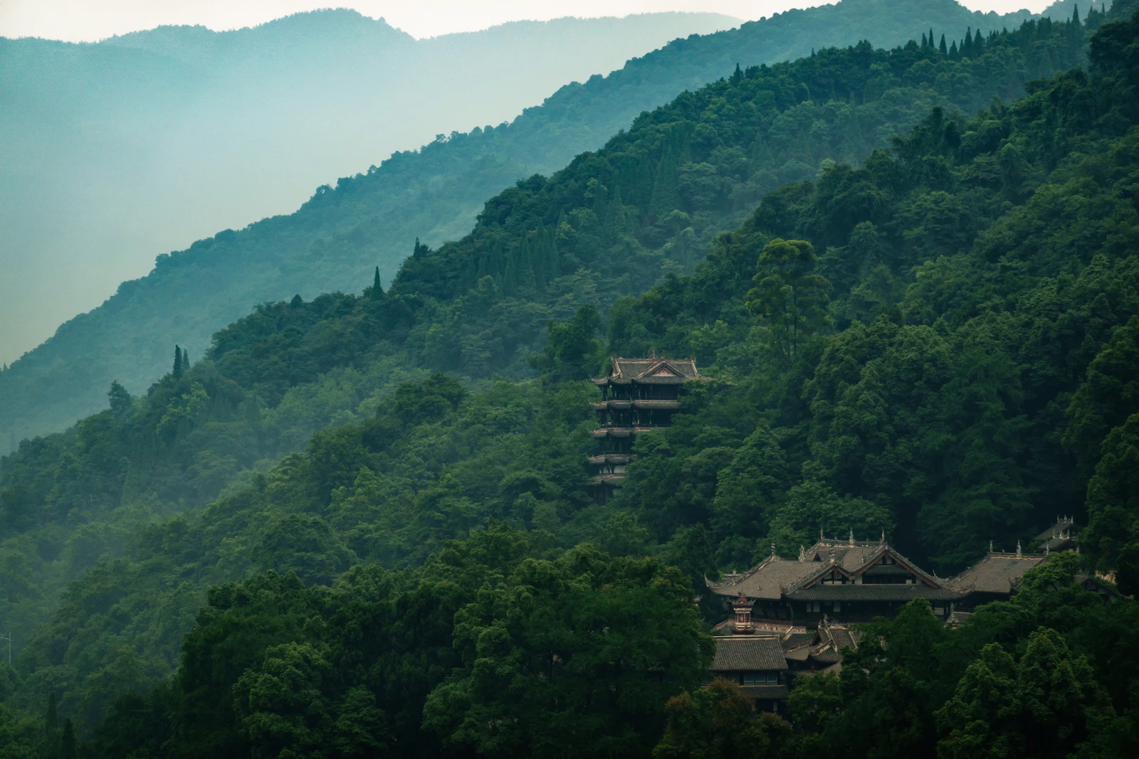 Chengdu, China photo 6 by Bamboo Joe
