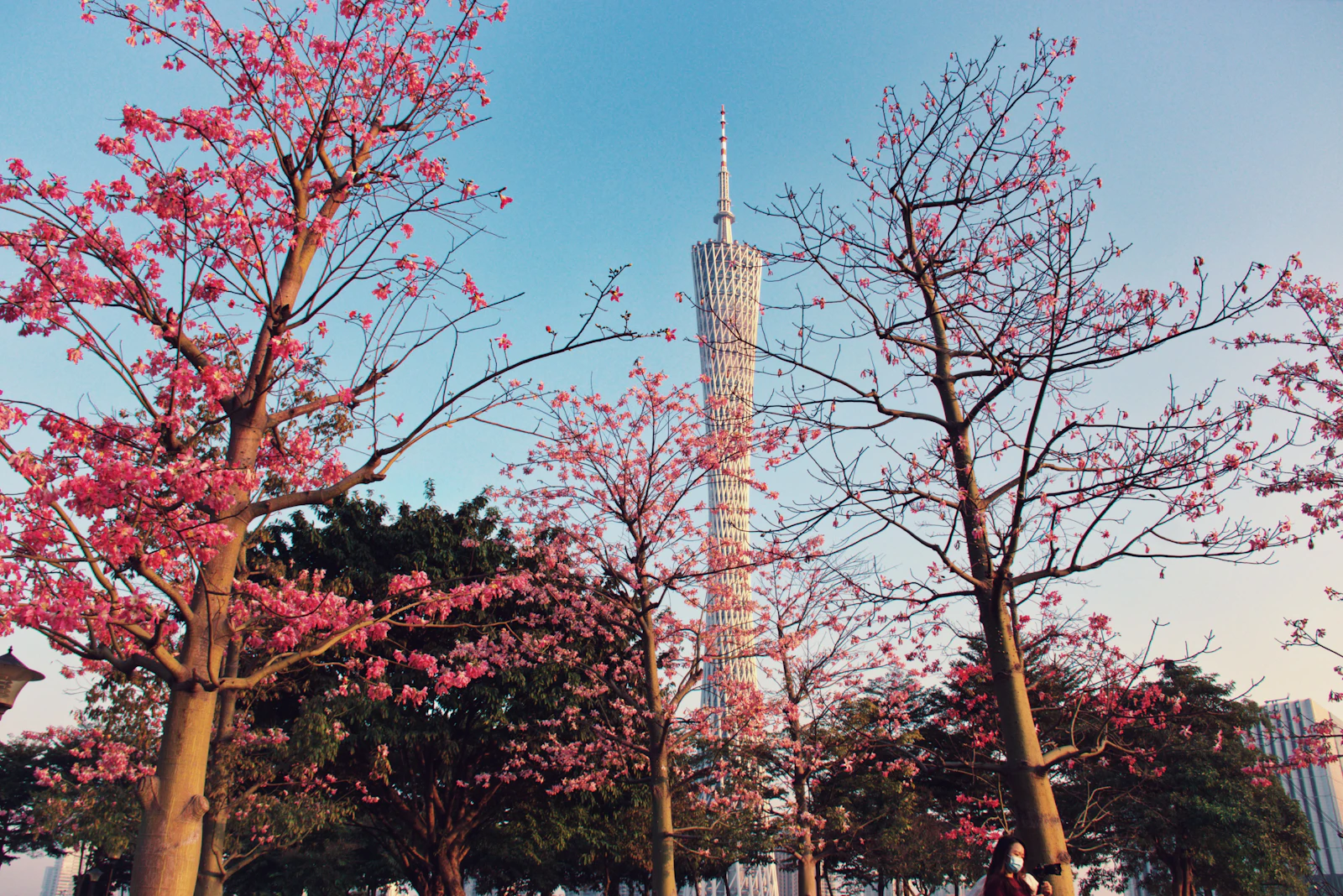 Guangzhou, China photo 12 by Wally Yang