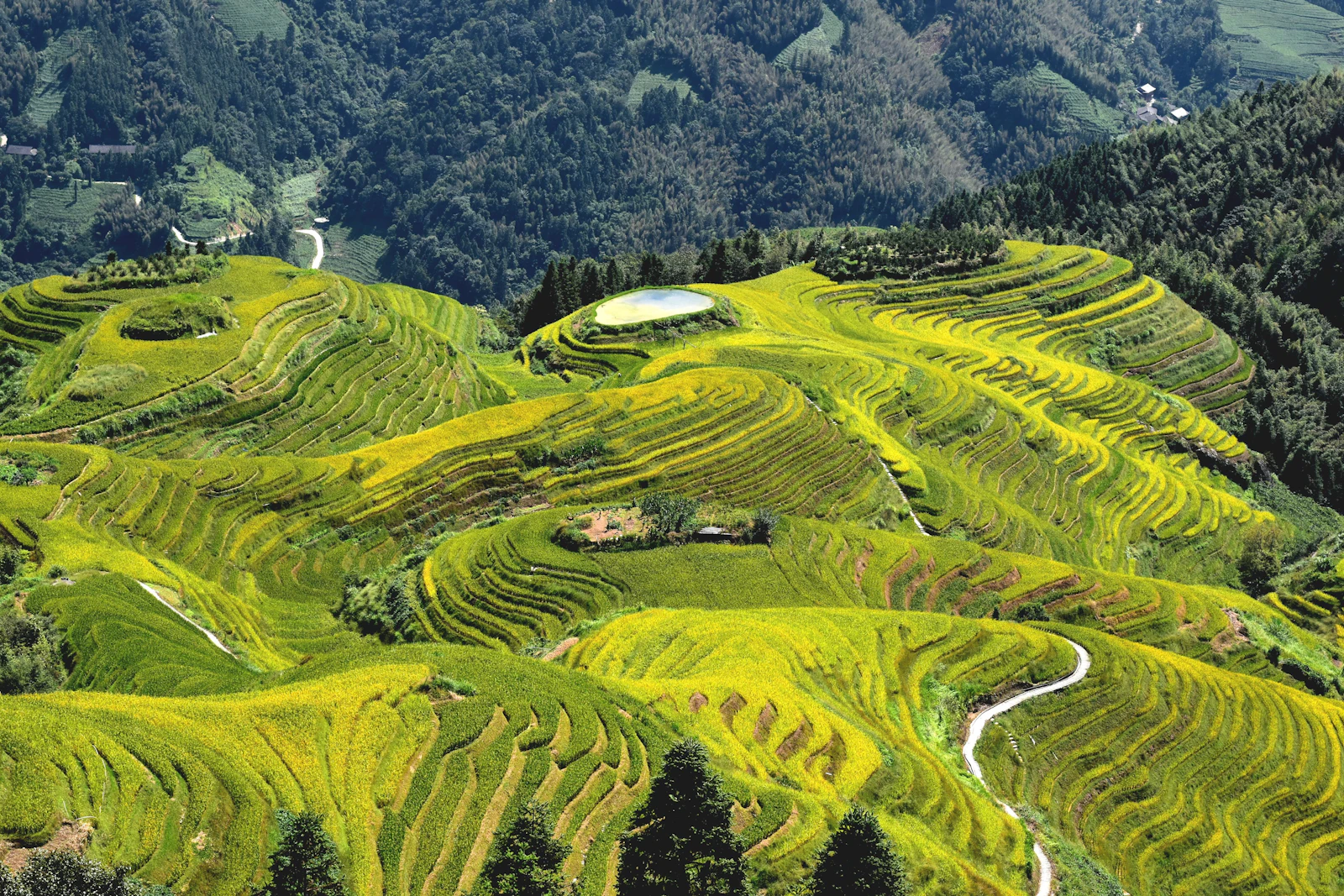 Guilin, China photo 11 by Rubina Ajdary