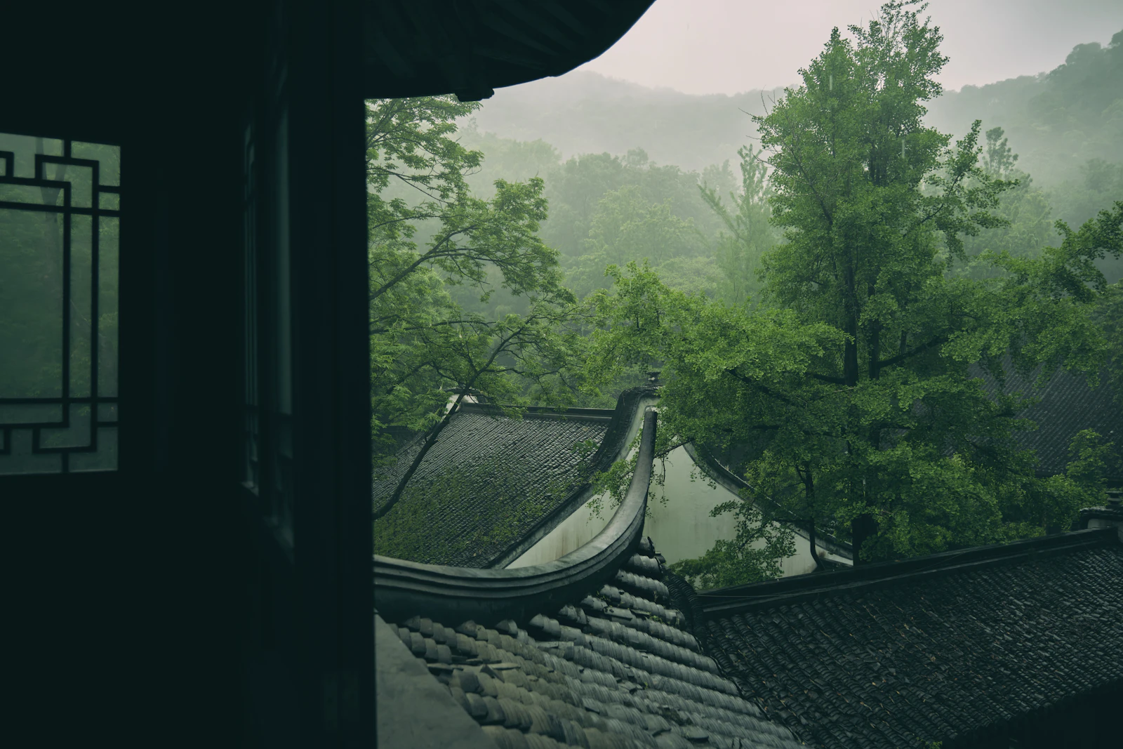 Hangzhou, China photo 16 by 一只猫的橘