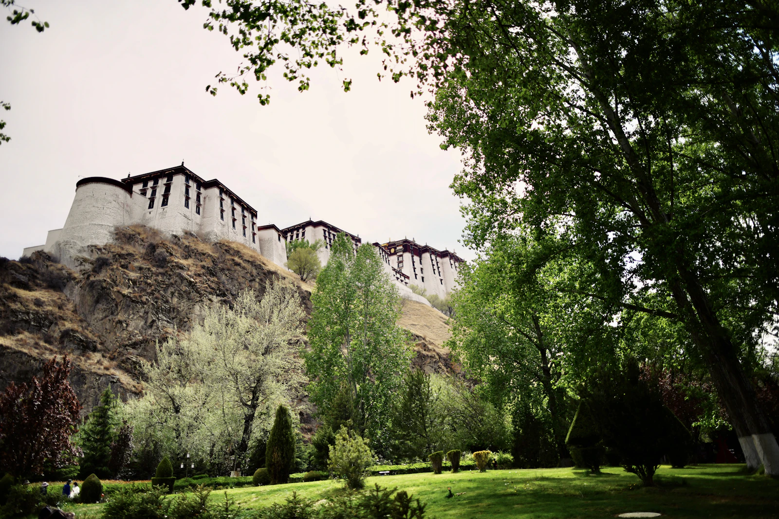 Lhasa, China photo 23 by P Guan