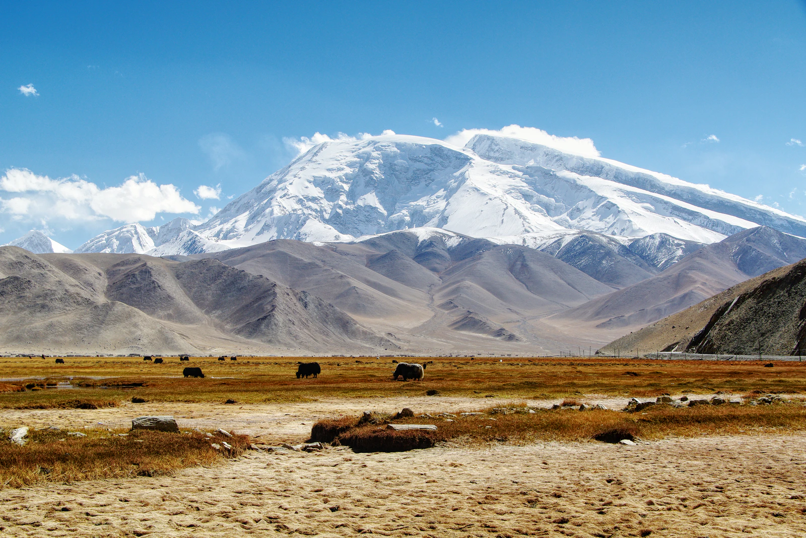 Lhasa, China travel photo