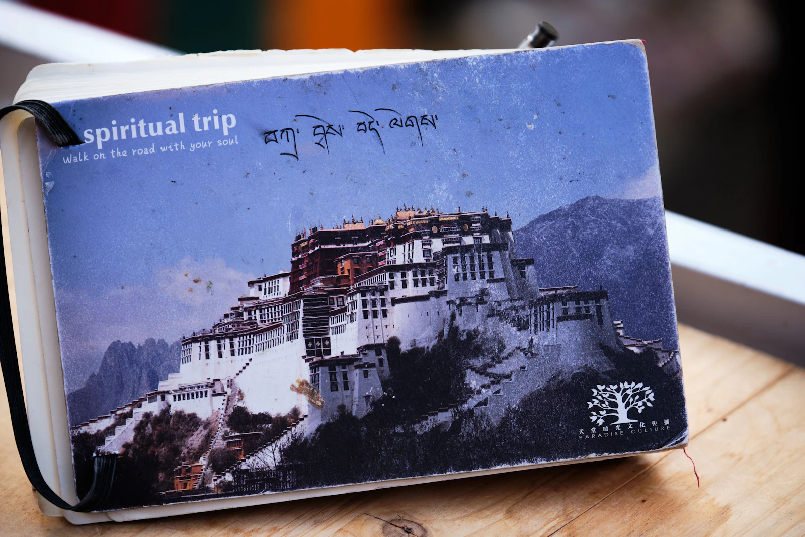 Lhasa, China photo 19 by Tim Cheung