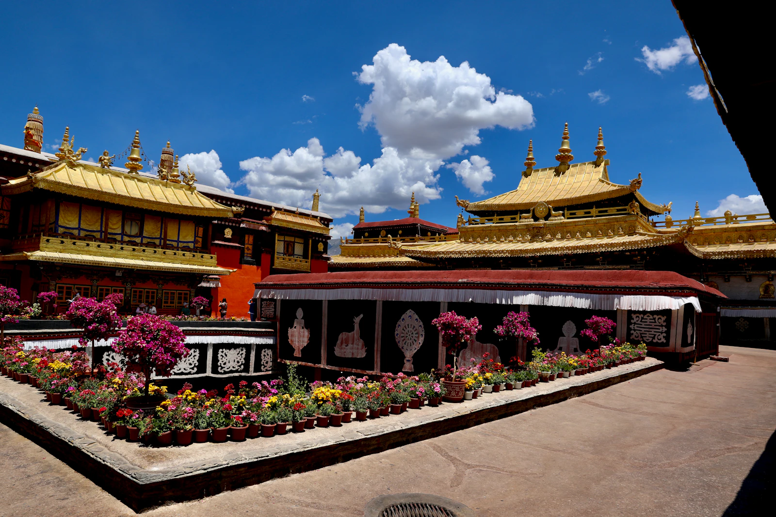 Lhasa, China photo 6 by Gang Hao