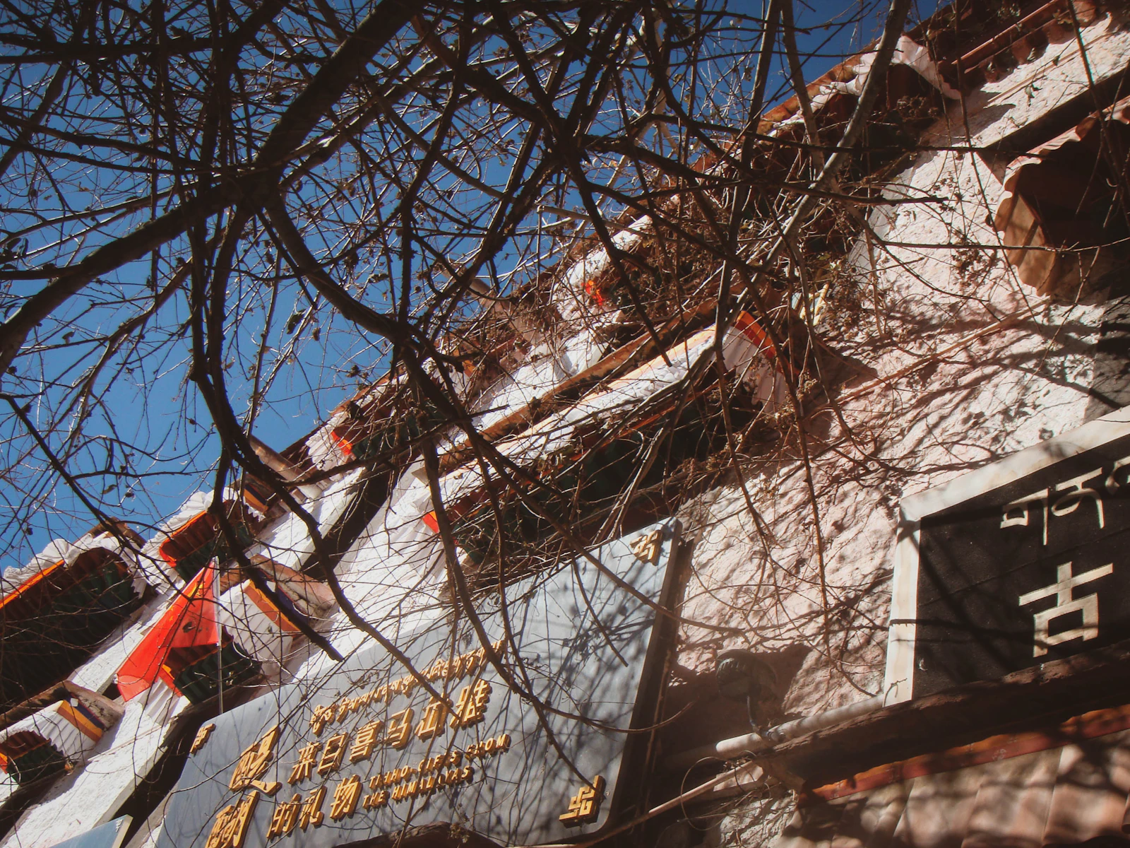 Lhasa, China photo 24 by YiFan Han