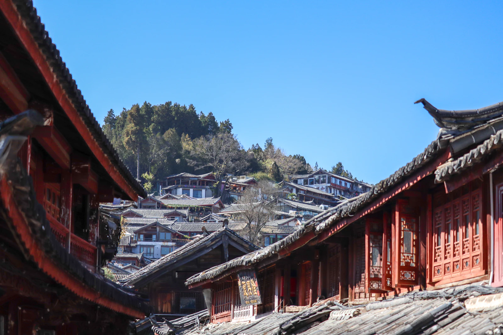 Lijiang, China photo 12 by Noppon Meenuch