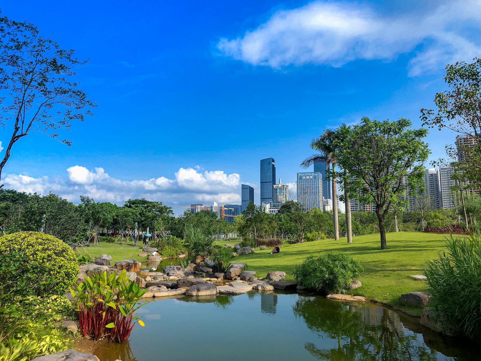 Shenzhen, China photo 13 by Zean Wu