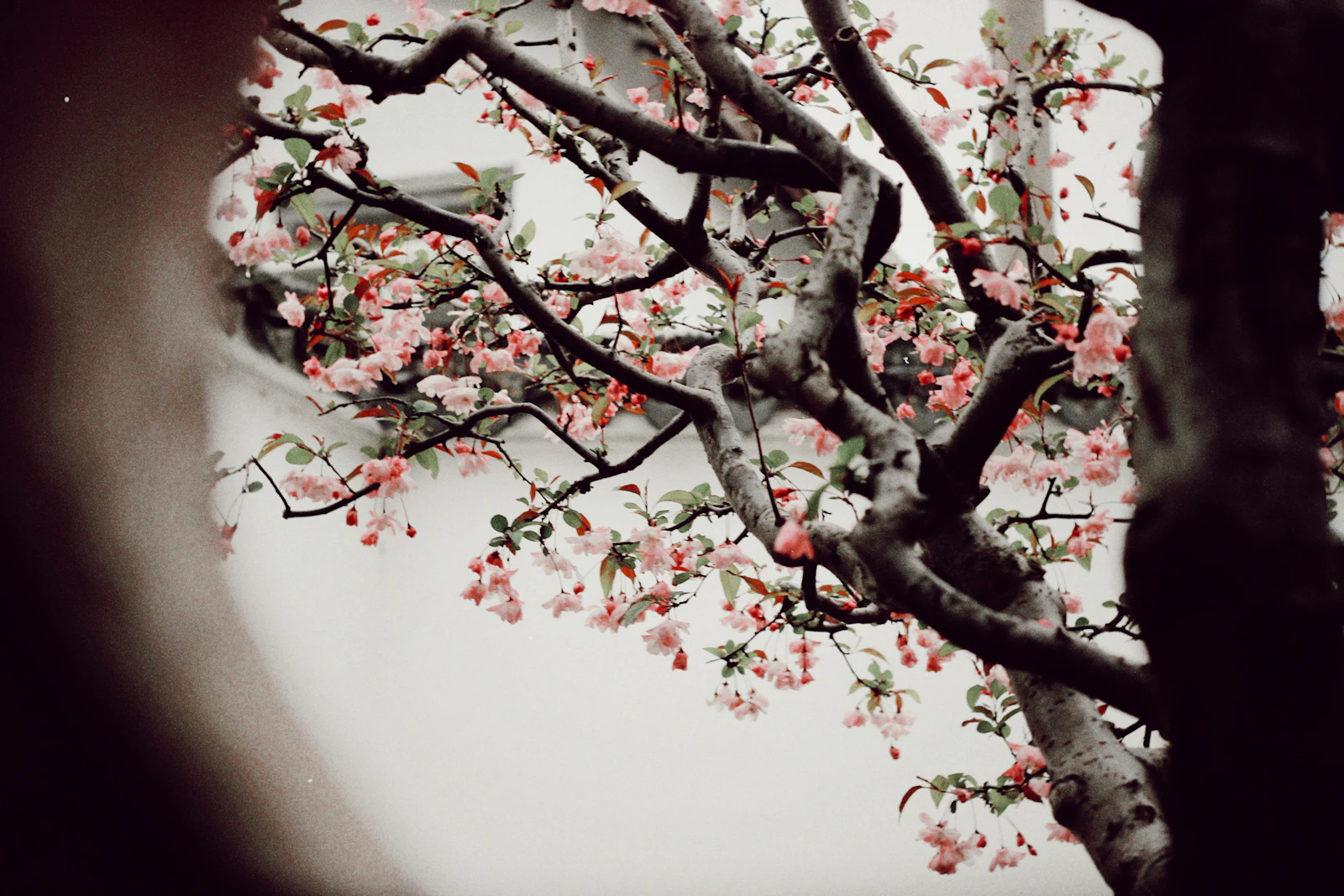 Suzhou, China photo 14 by Danie LIU