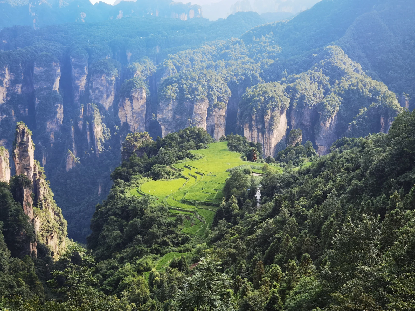 Zhangjiajie, China photo 9 by Avina Qin