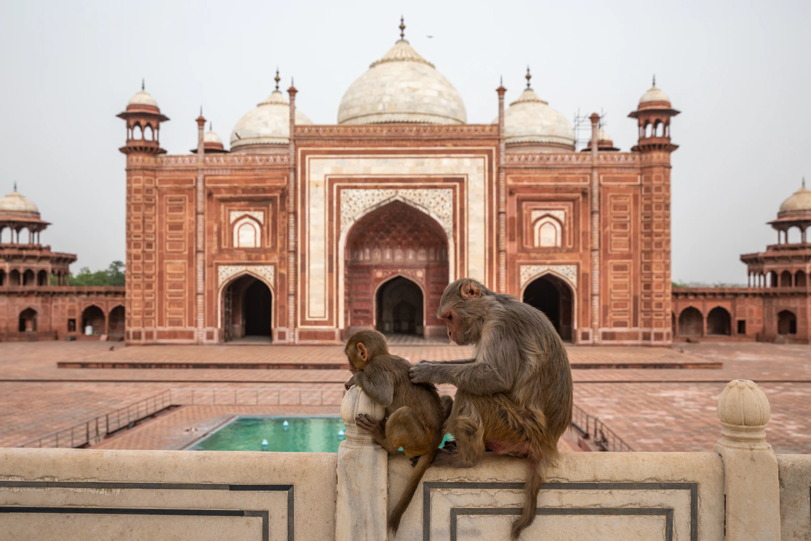 Agra, India photo 22 by Nina Luong